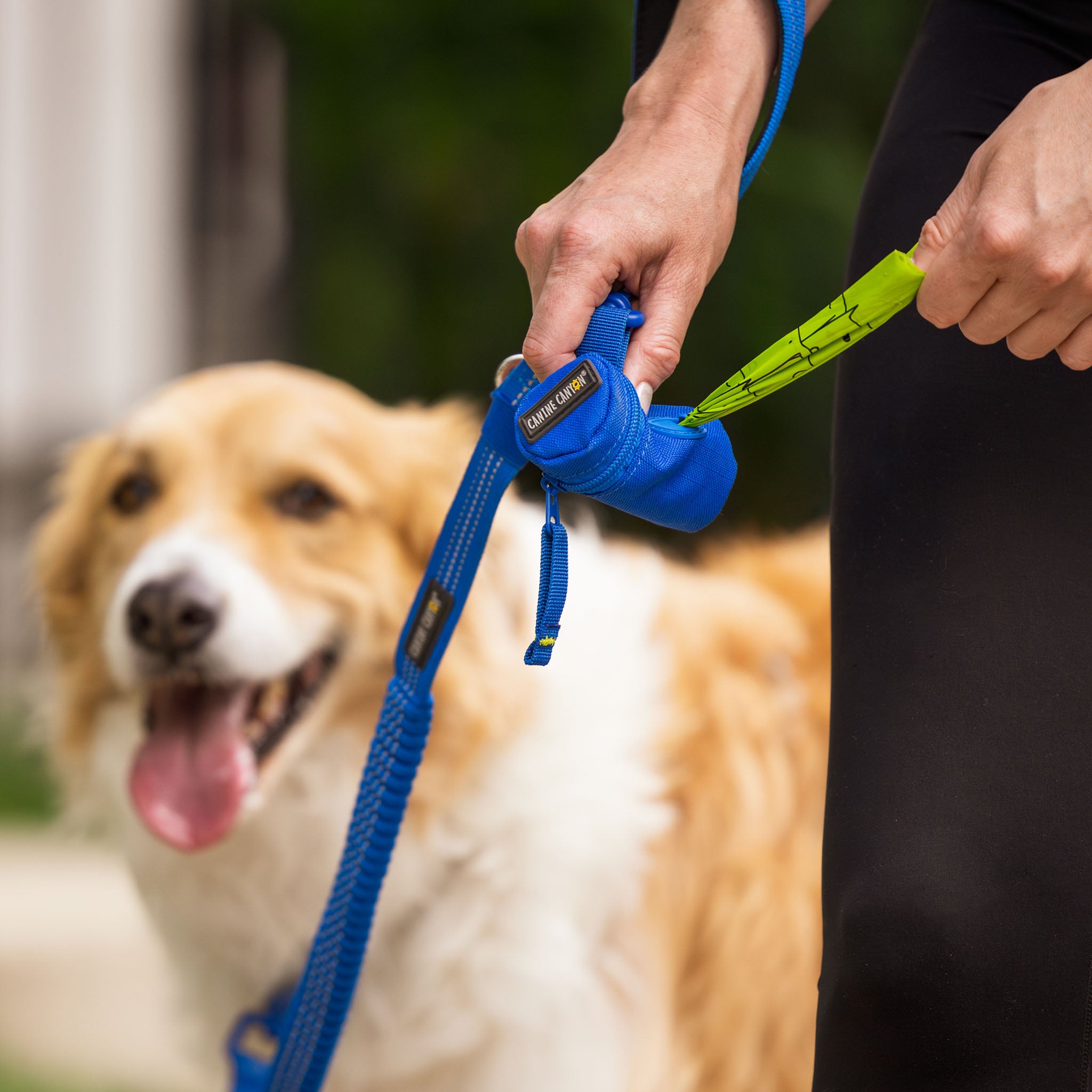 Bailey Dog Waste Bag Dispenser