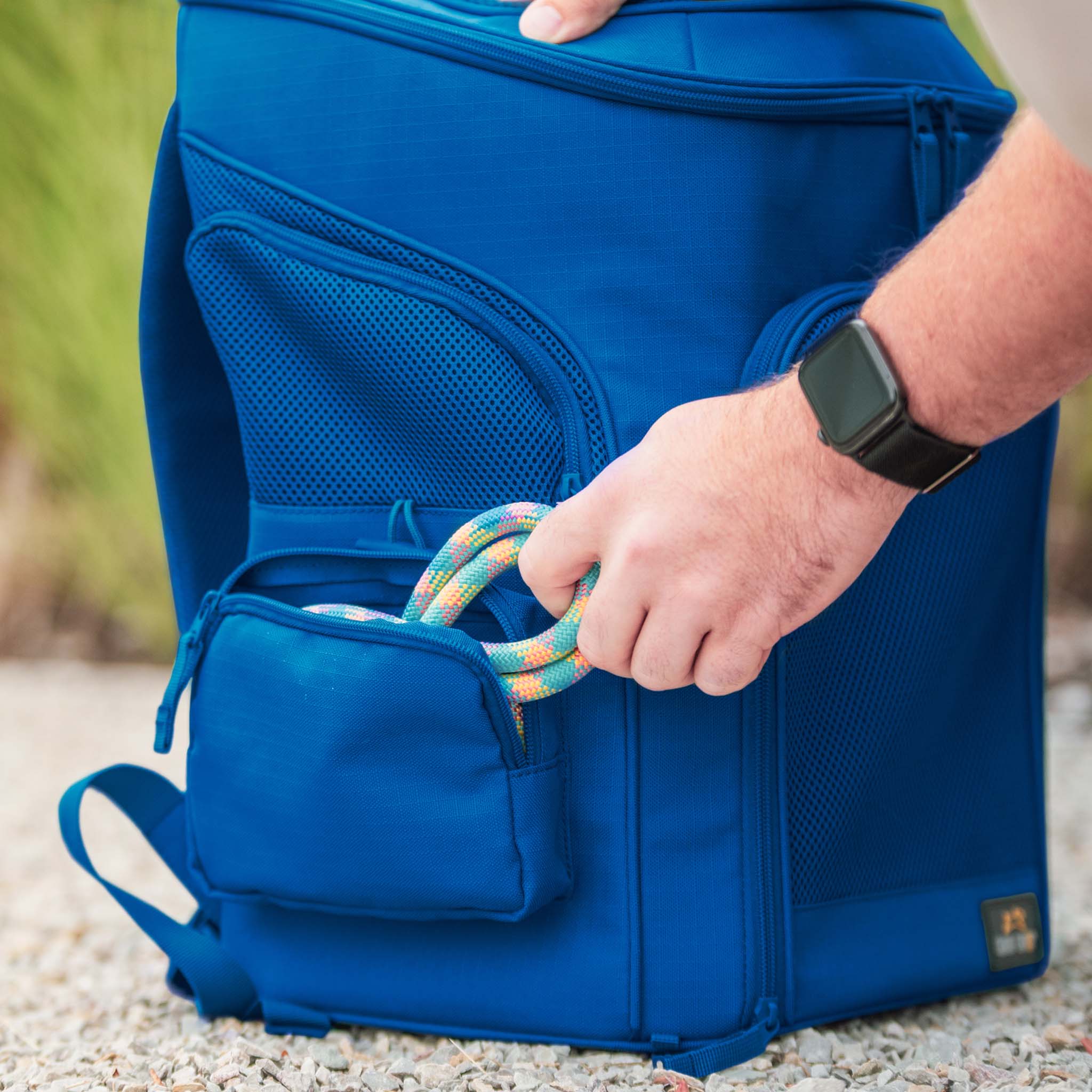 Gio Airline Approved Dog Backpack Carrier