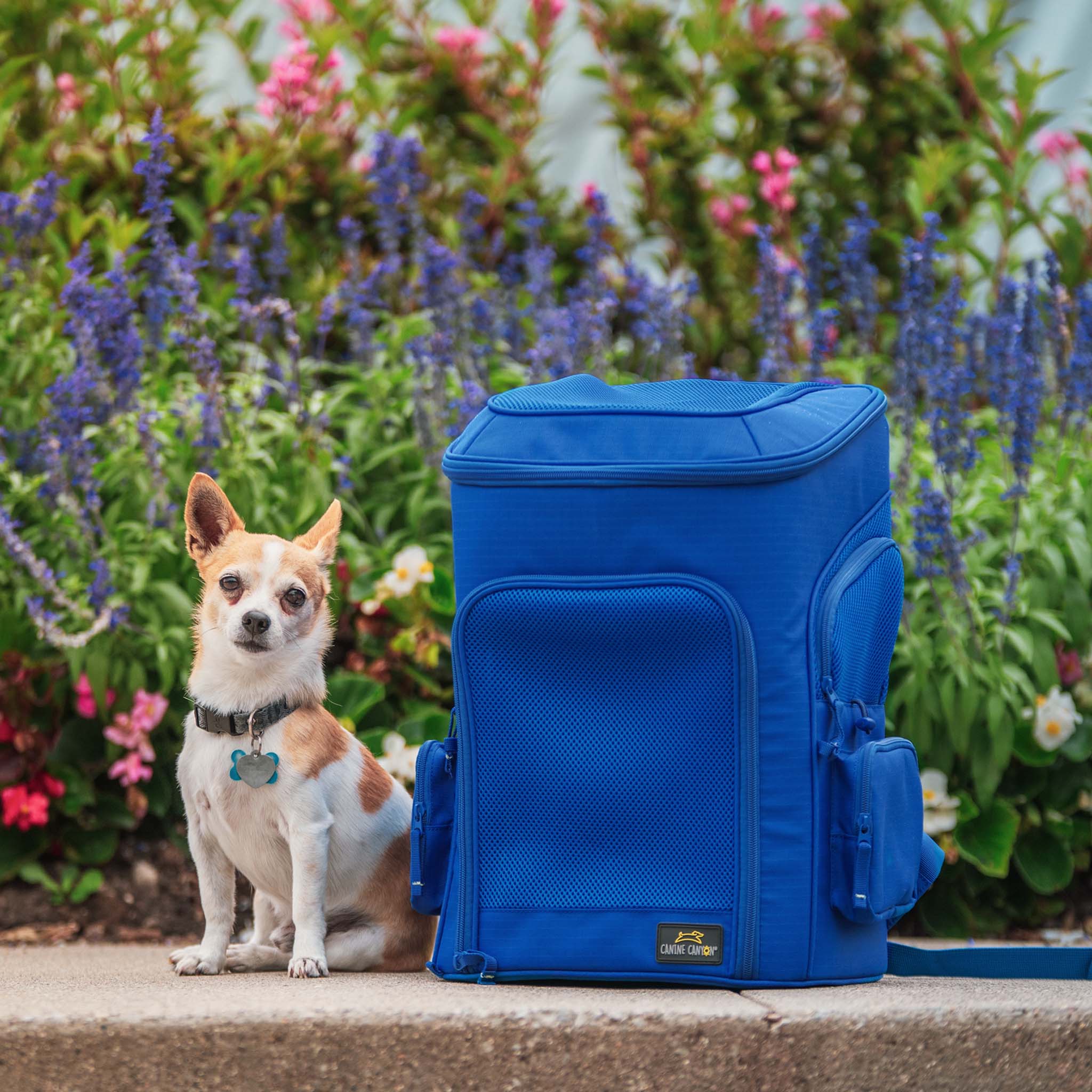 Gio Airline Approved Dog Backpack Carrier