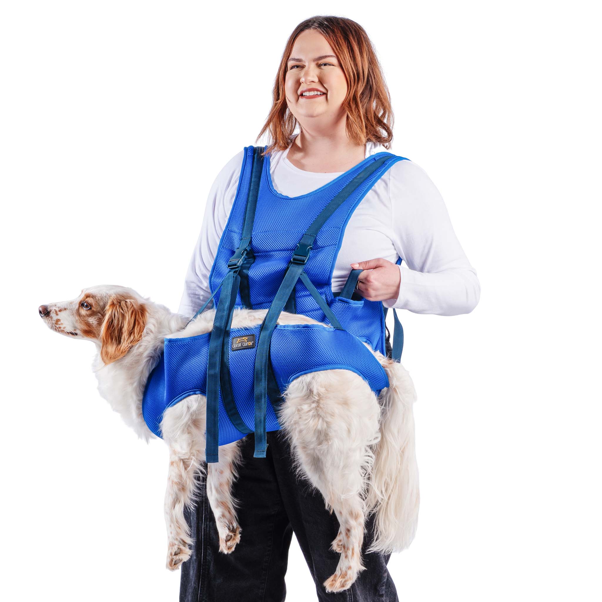 Rover Rescue Dog Carry Support Harness