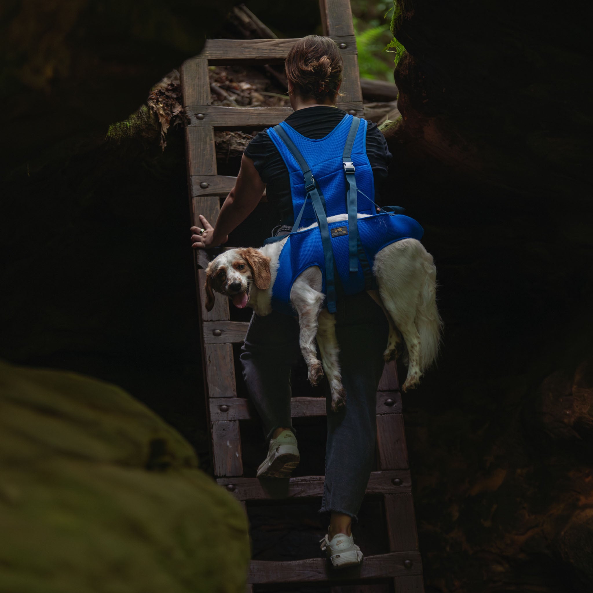 Rover Rescue Dog Carry Support Harness