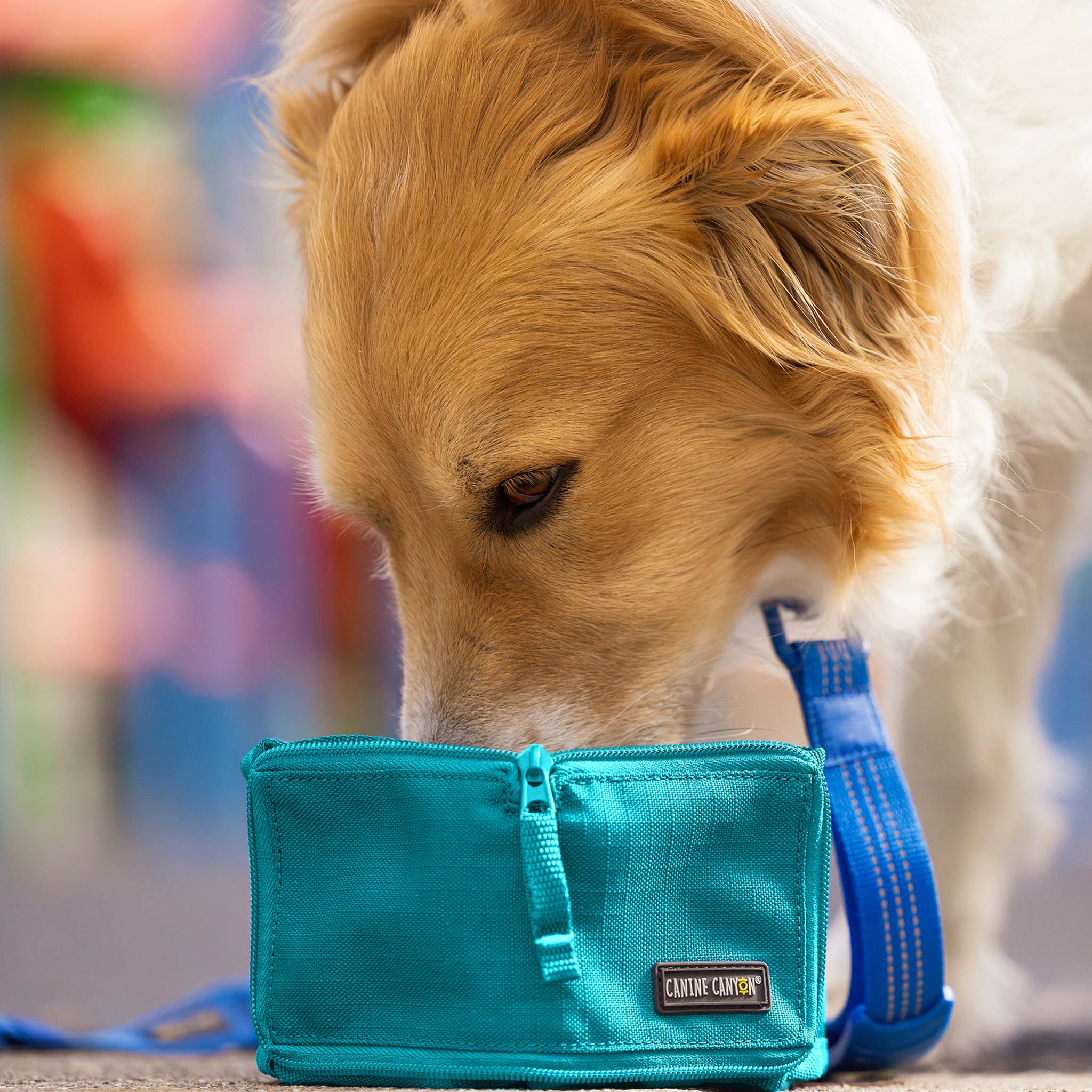 Rufus Collapsible Wallet Travel Bowl