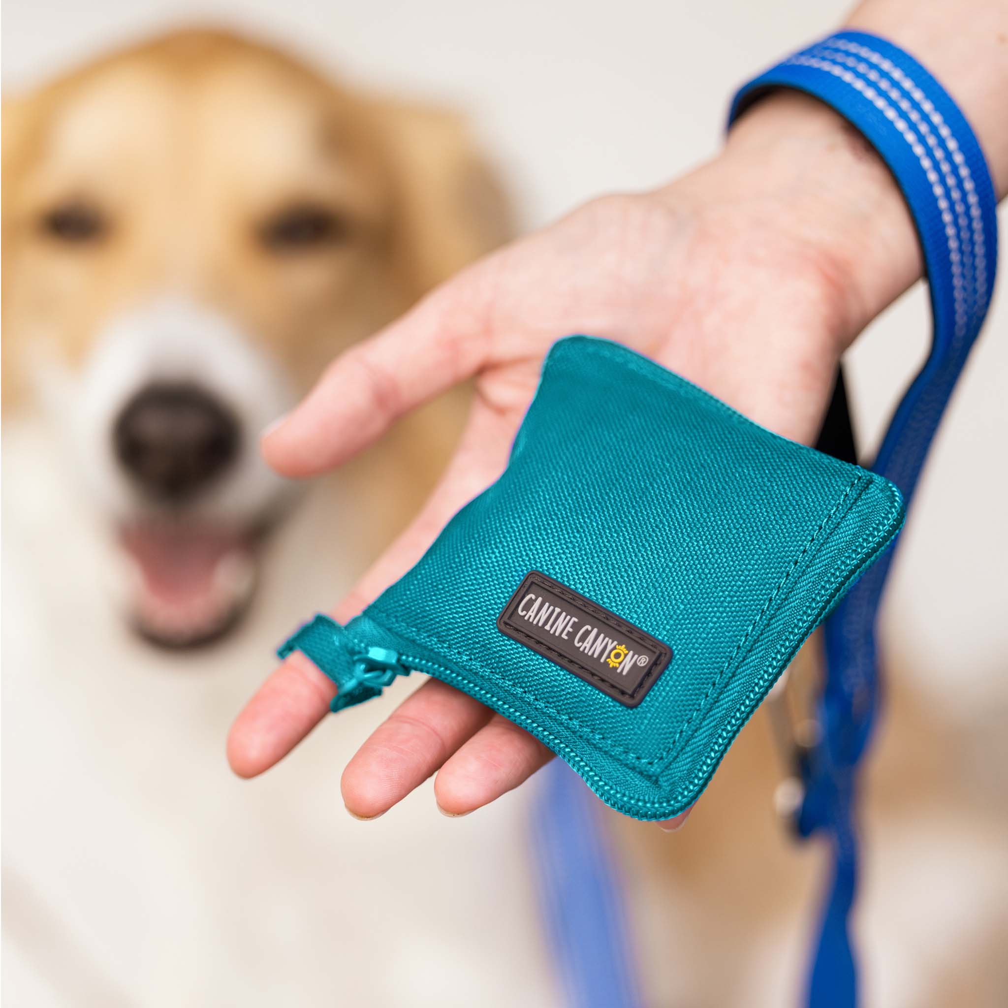 Rufus Collapsible Wallet Travel Bowl