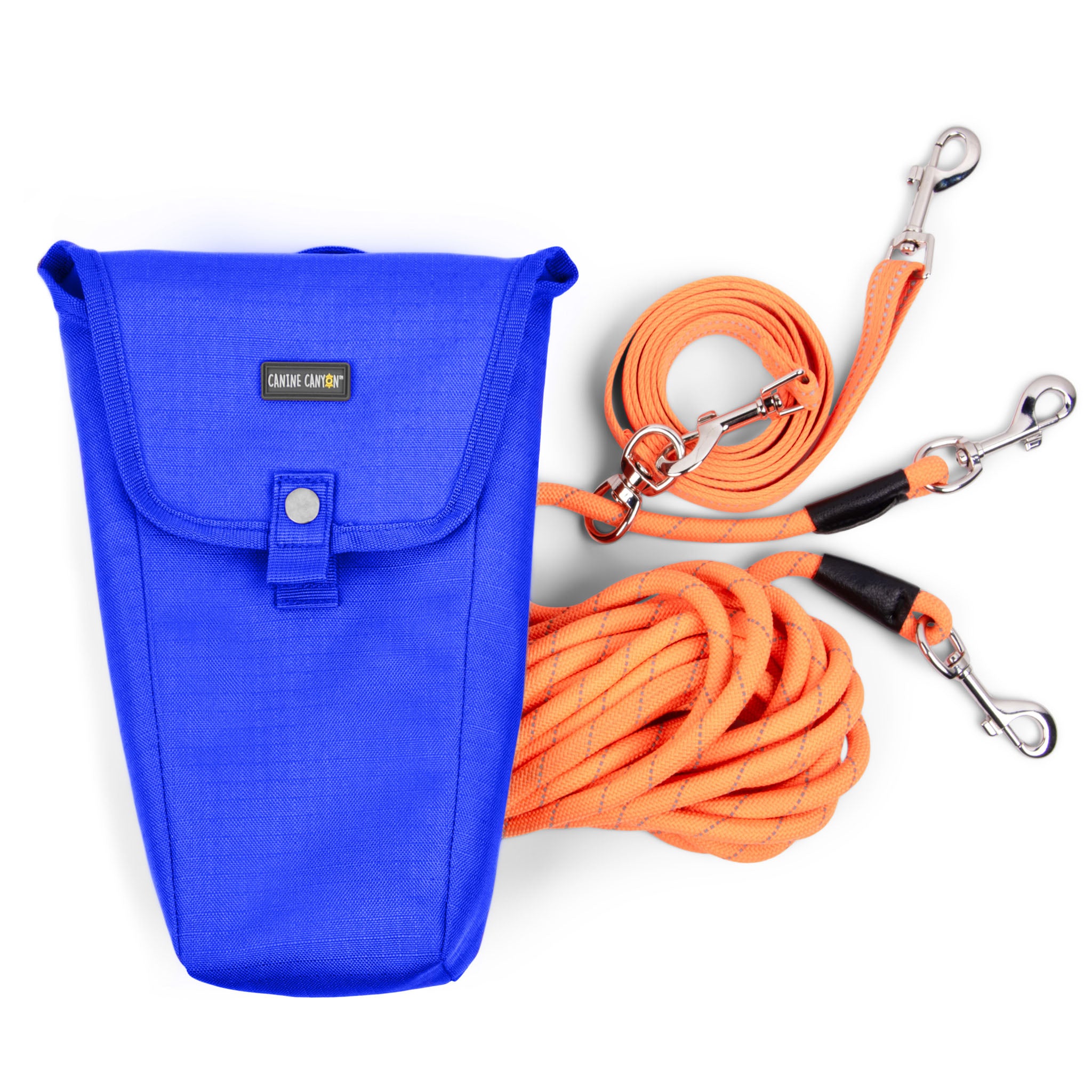 Sarge Portable Dog Run with Leash & Carry Bag