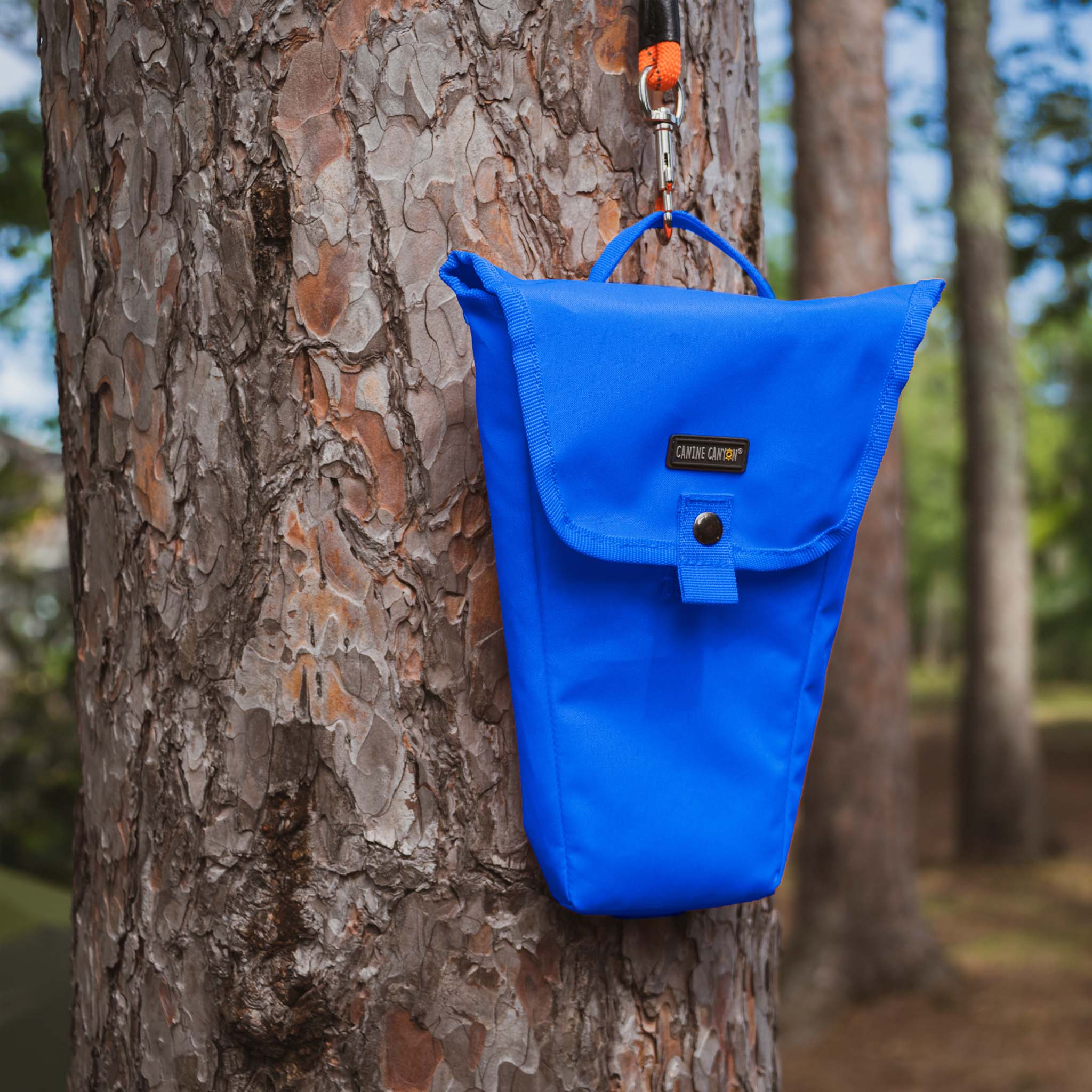 Sarge Portable Dog Run with Leash & Carry Bag