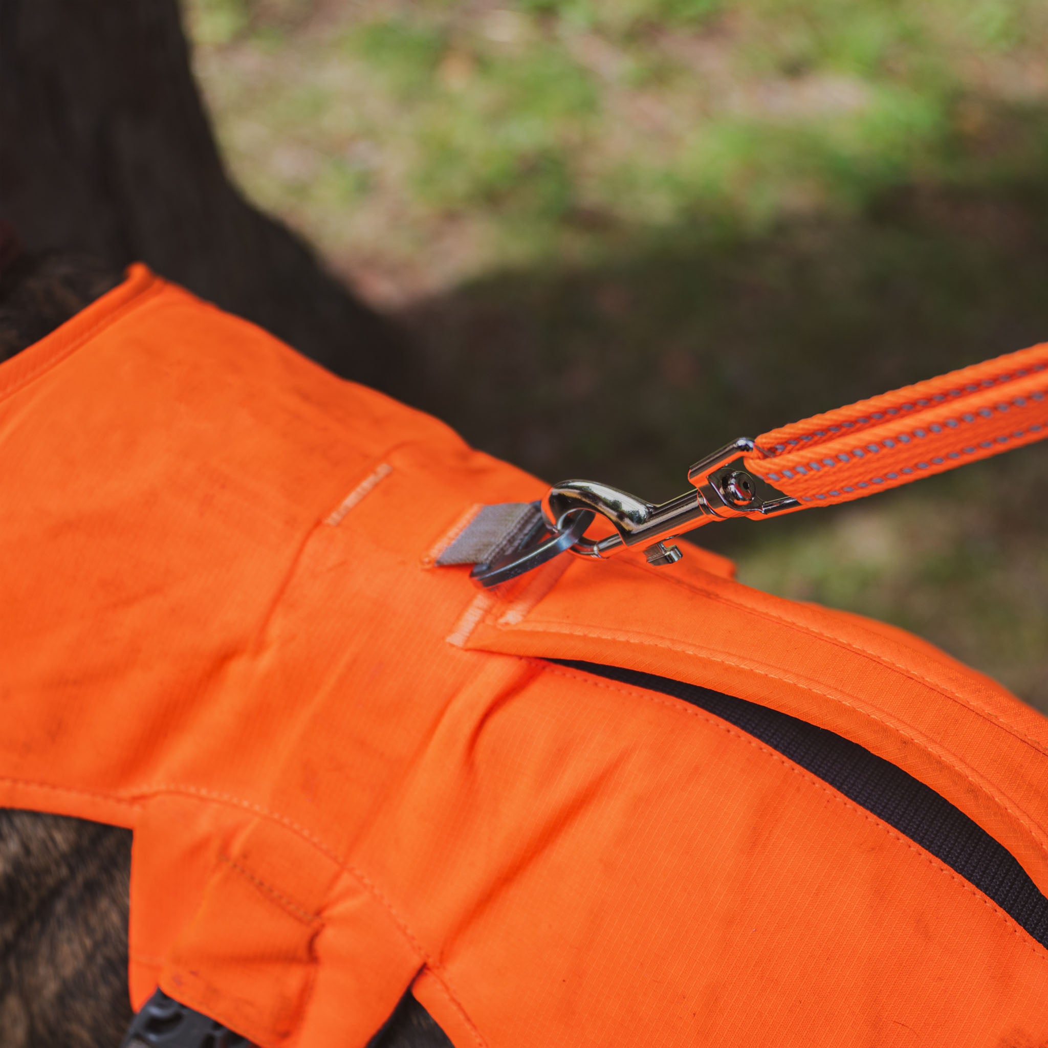 Sarge Portable Dog Run with Leash & Carry Bag