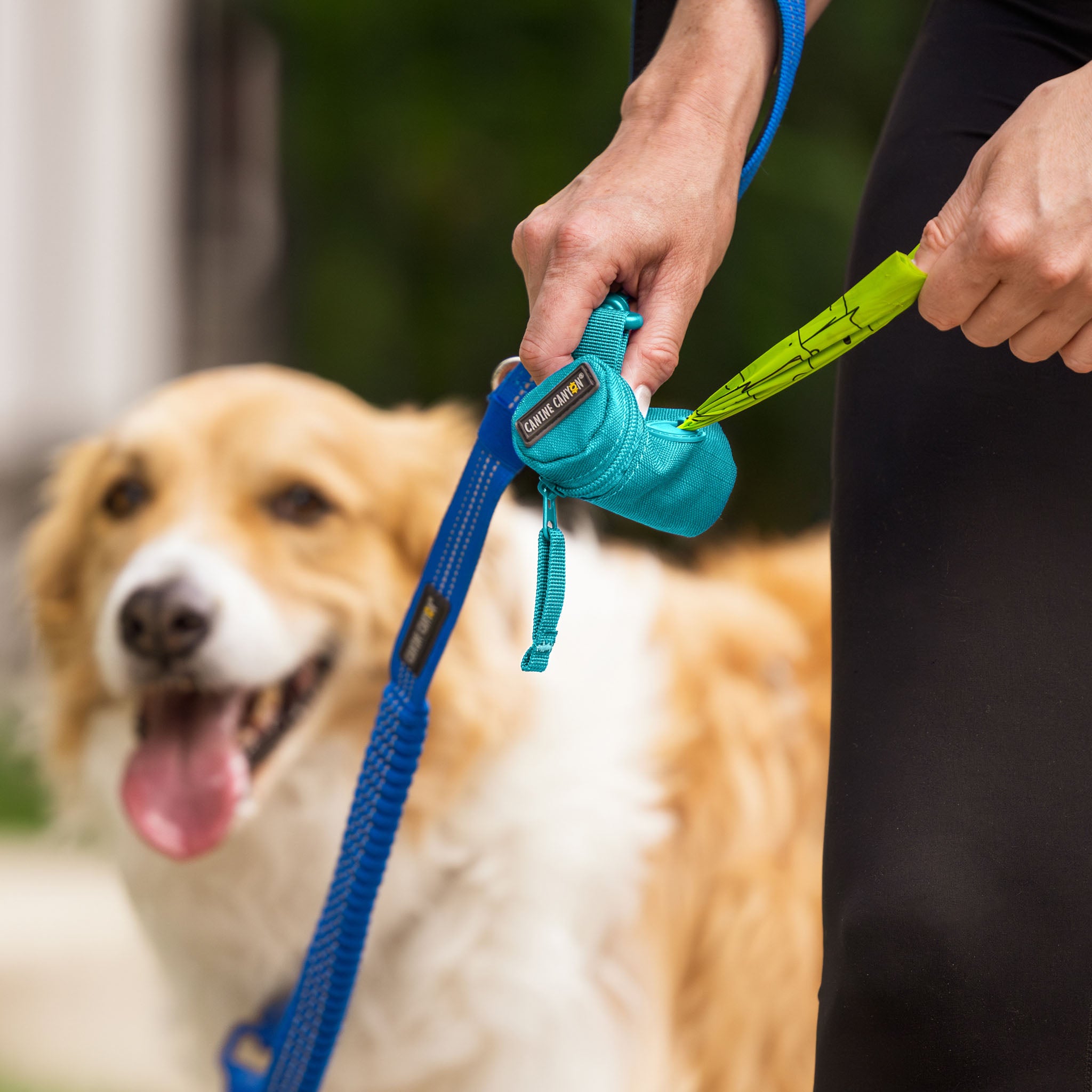 Bailey Dog Waste Bag Dispenser