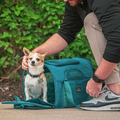 Bella Airline Approved Dog Duffel Carrier