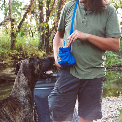 Buckley Dog Training Treat Bag