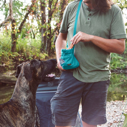 Buckley Dog Training Treat Bag