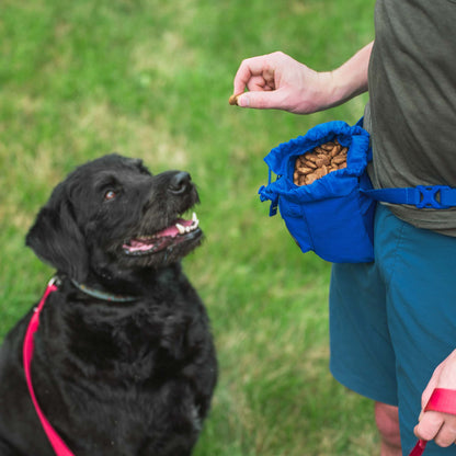 Buckley Dog Training Treat Bag
