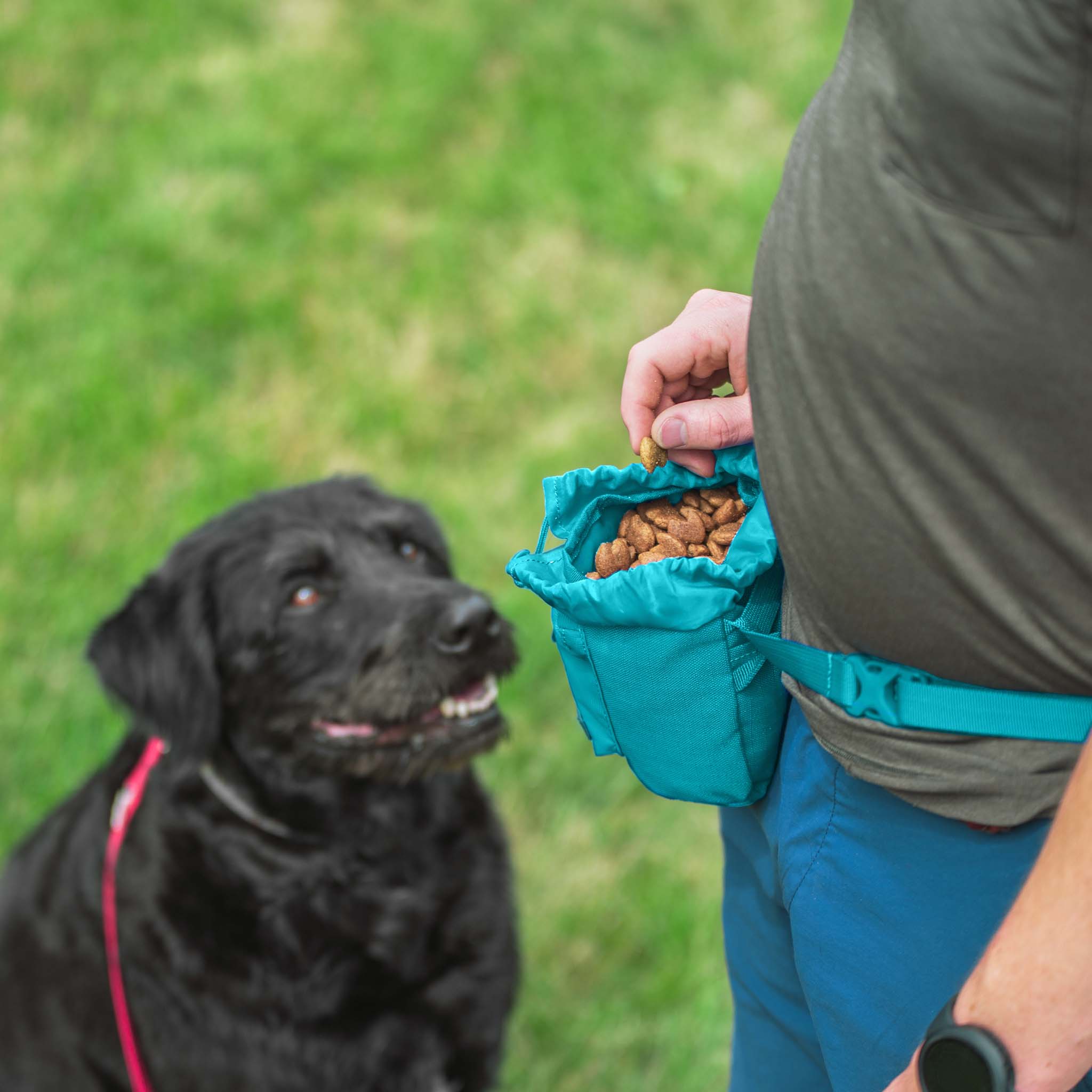 Buckley Dog Training Treat Bag