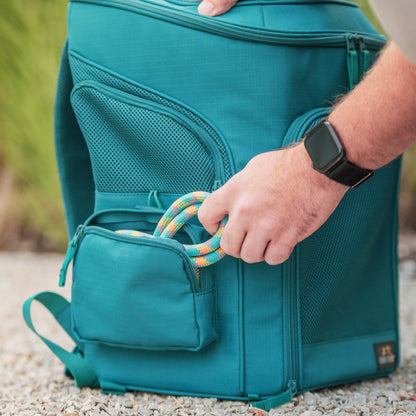 Gio Airline Approved Dog Backpack Carrier