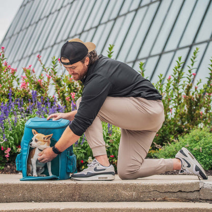 Gio Airline Approved Dog Backpack Carrier