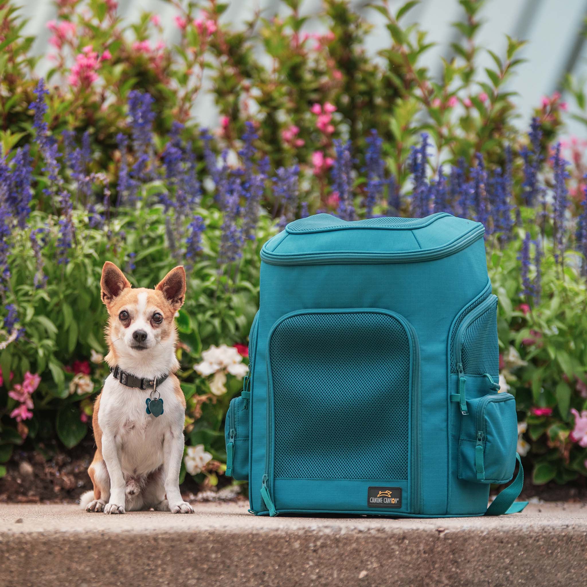 Gio Airline Approved Dog Backpack Carrier