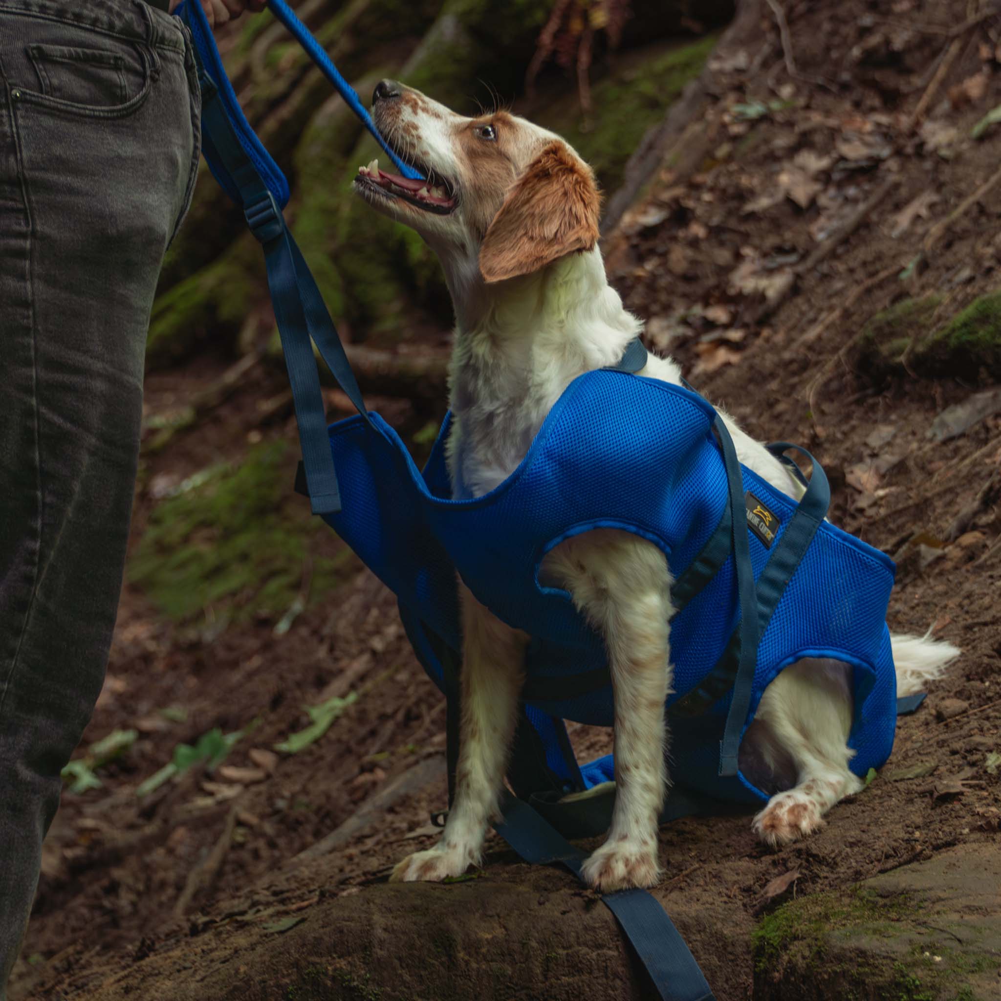 Rover Rescue Dog Carry Support Harness