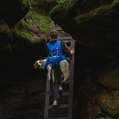 Rover Rescue Dog Carry Support Harness