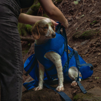 Rover Rescue Dog Carry Support Harness