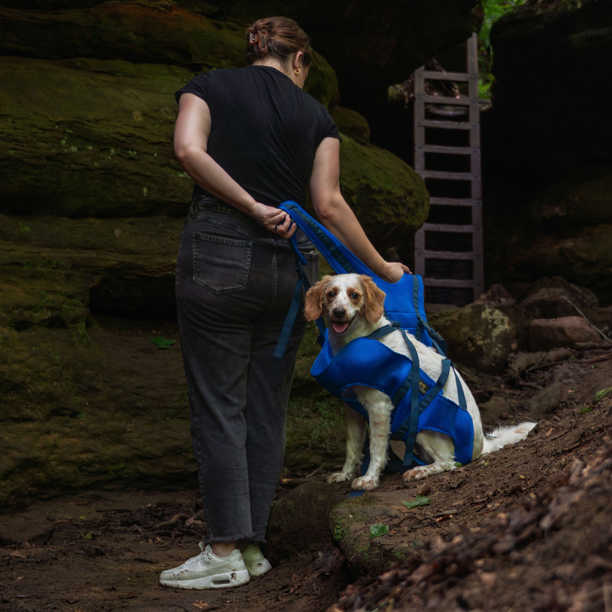 Rover Rescue Dog Carry Support Harness