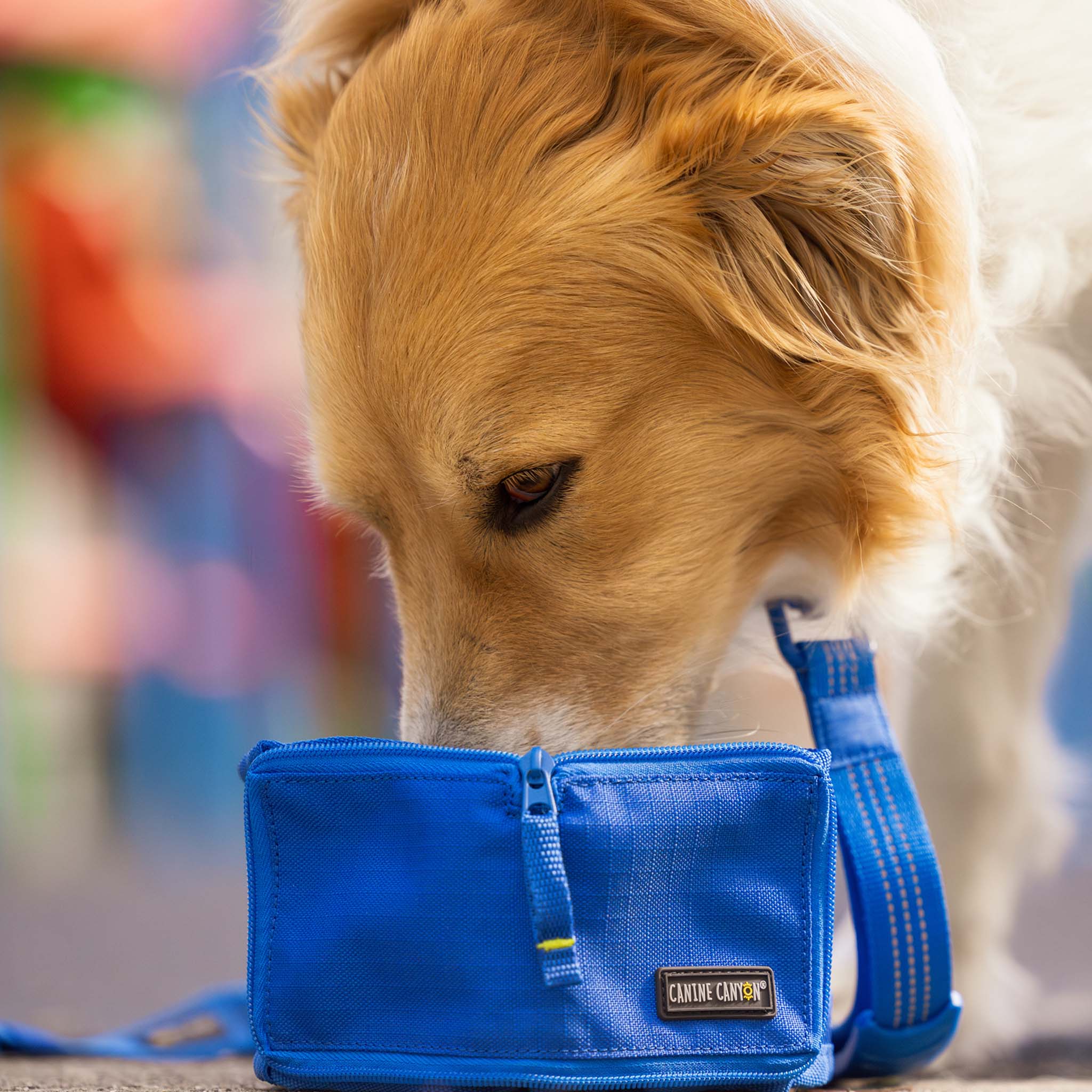 Rufus Collapsible Wallet Travel Bowl