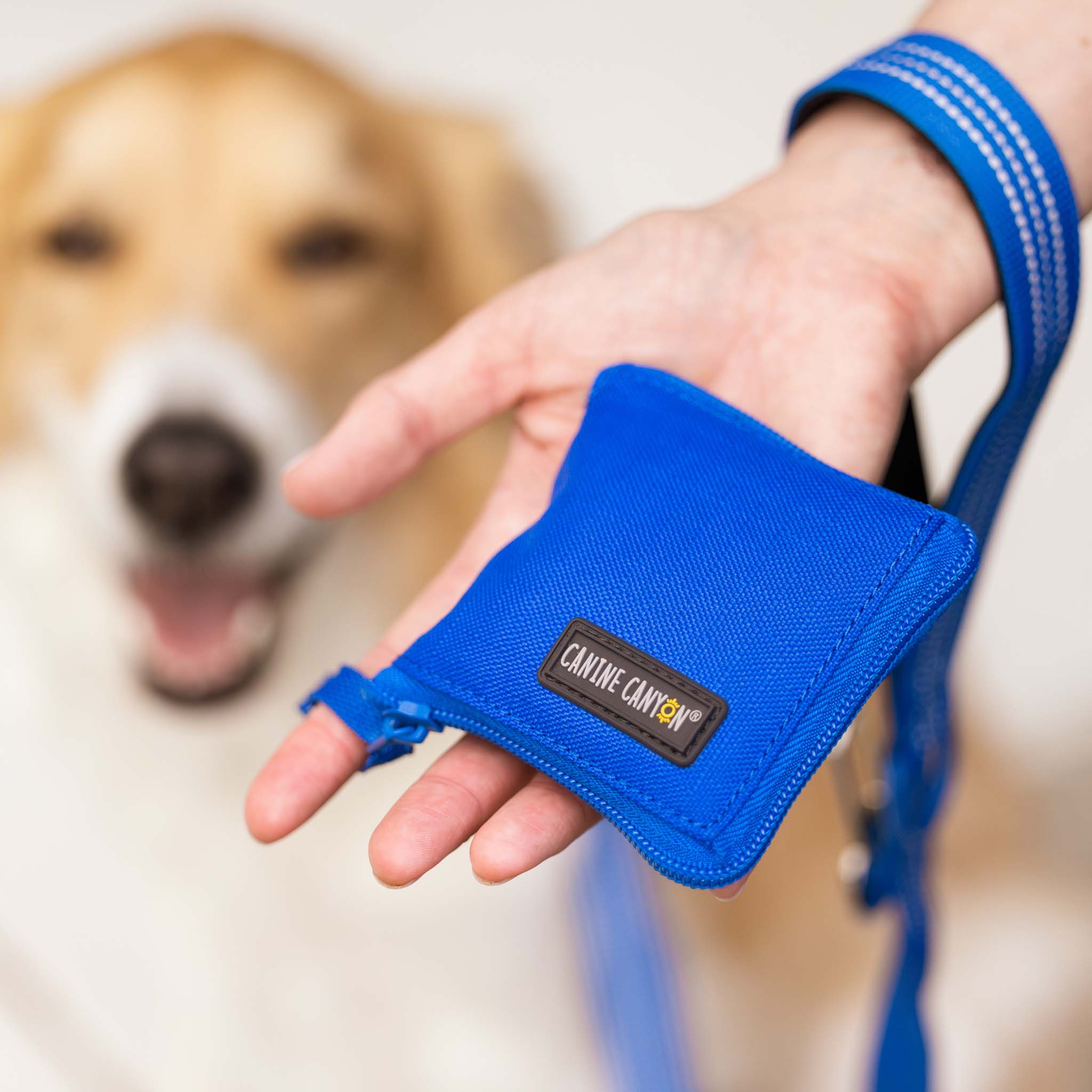 Rufus Collapsible Wallet Travel Bowl