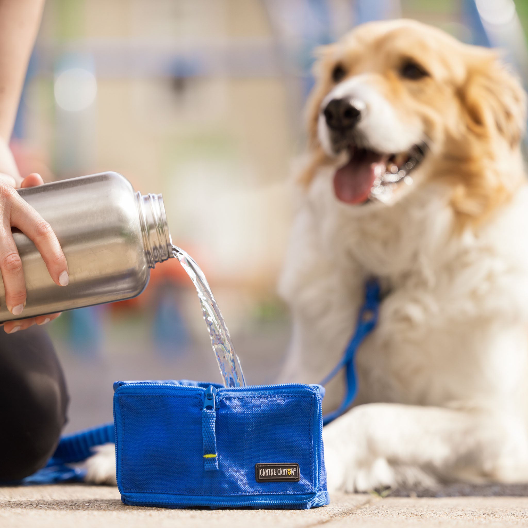 Rufus Collapsible Wallet Travel Bowl