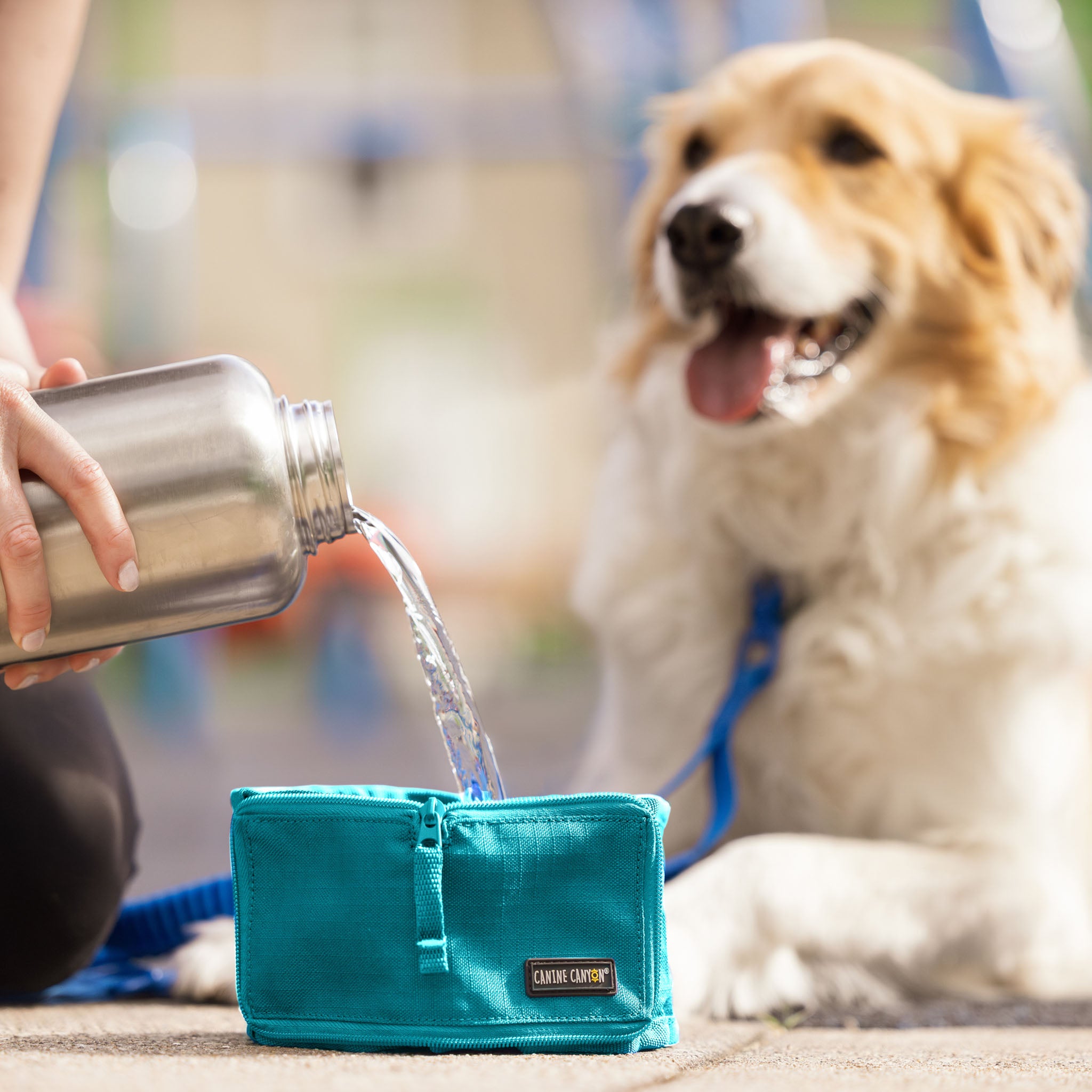 Rufus Collapsible Wallet Travel Bowl