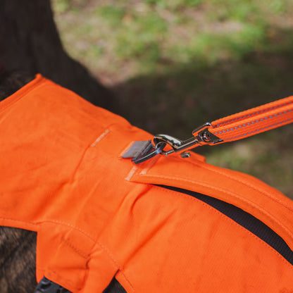 Sarge Portable Dog Run with Leash & Carry Bag