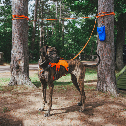 Sarge Portable Dog Run with Leash & Carry Bag