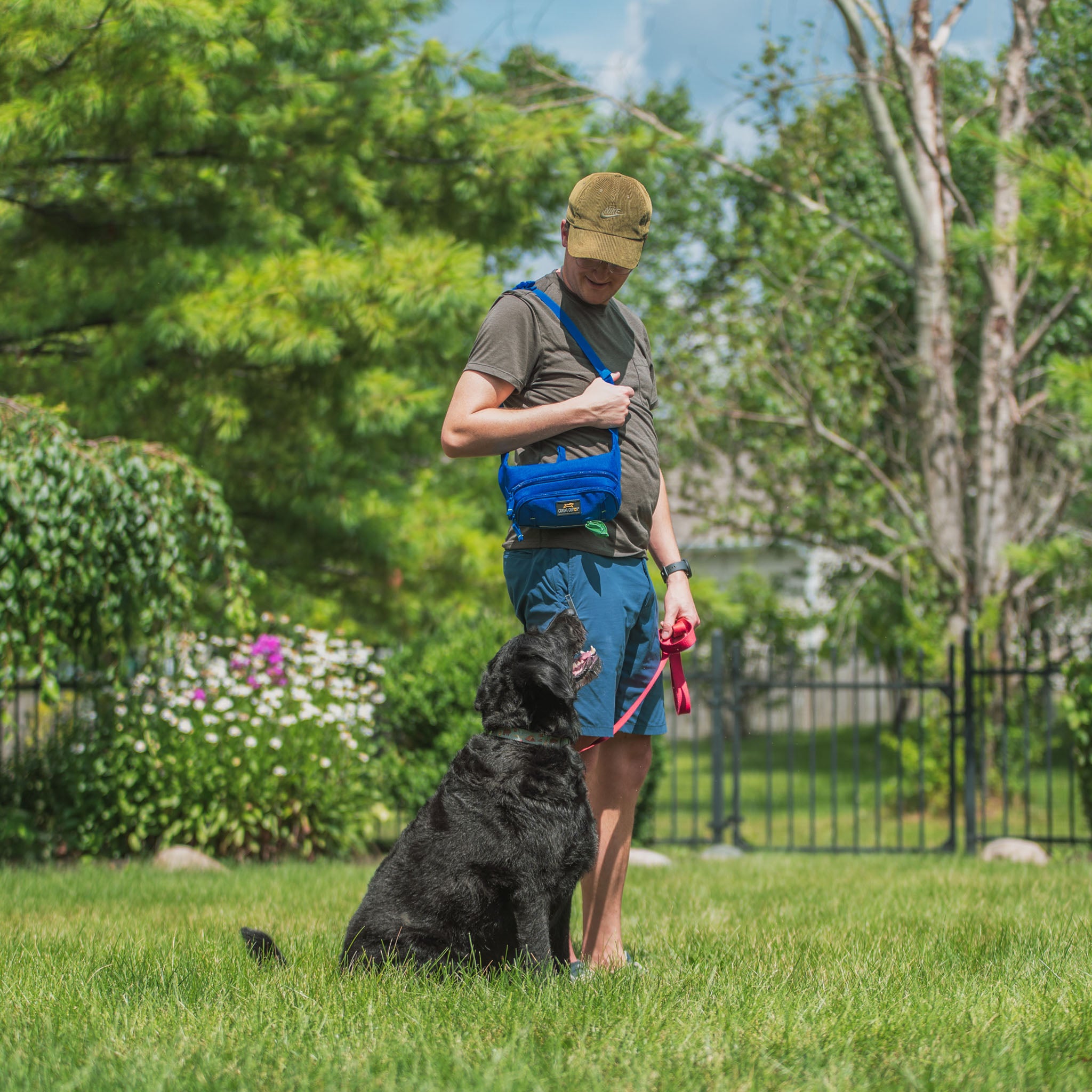 Stella Dog Walking Waist Belt Bag