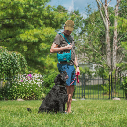 Stella Dog Walking Waist Belt Bag